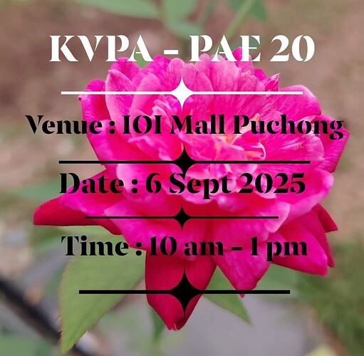 a006f5ab68464aa515c031d2d2043c3ccebda6261f524fc13cd52d7992391c25-rimg-w1200-h1174-dc907763-gmir