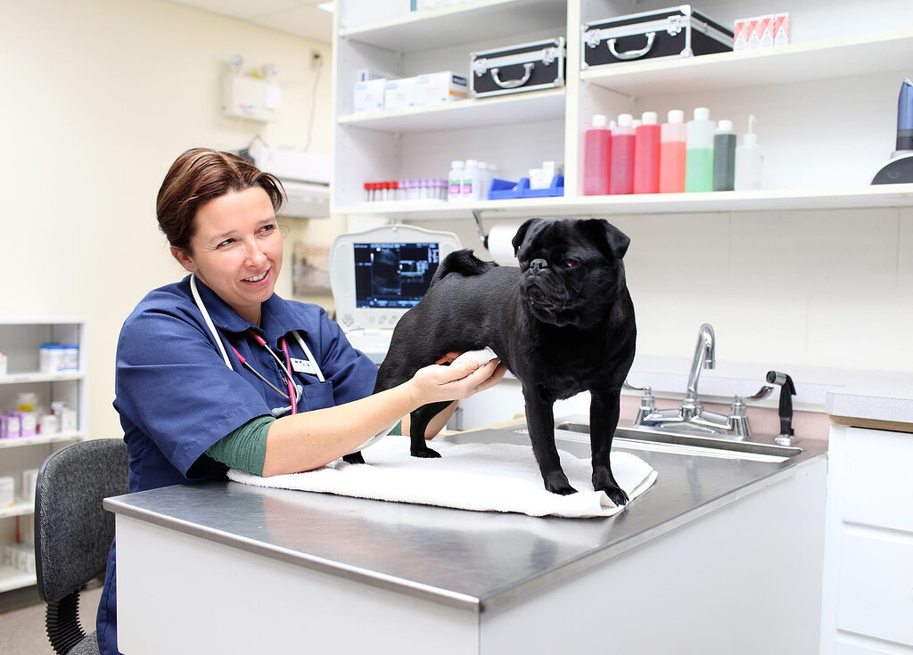 Puchong Veterinary Clinic - Medical - puchong.co