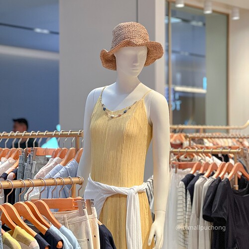 532527047_1179660794194740_1130946246764487615_n