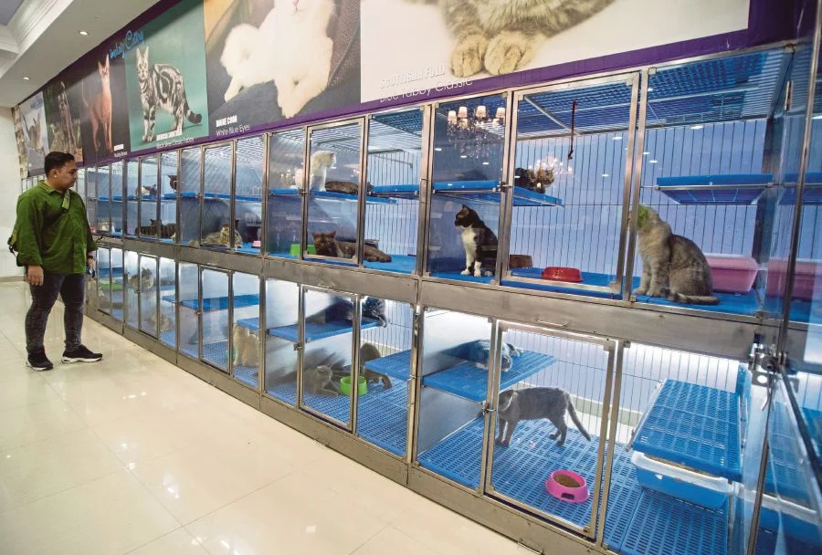 Puchong Pet Shop - Shopping - puchong.co