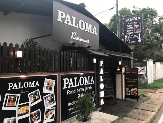 paloma-restaurant